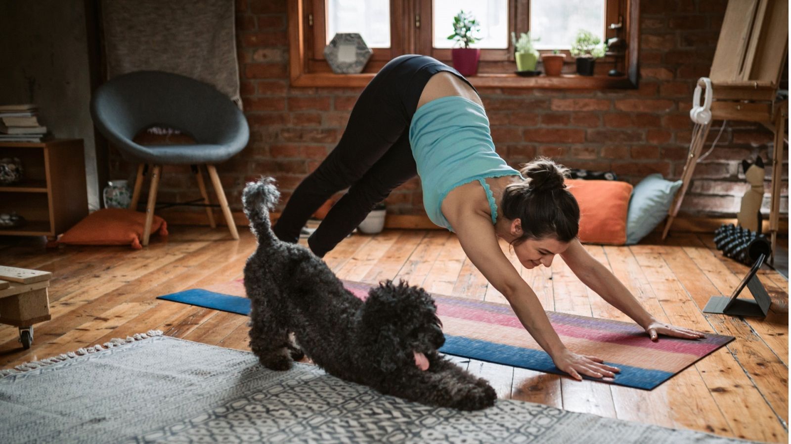 Vídeos y tablas para hacer ejercicio en casa, fácil y gratis