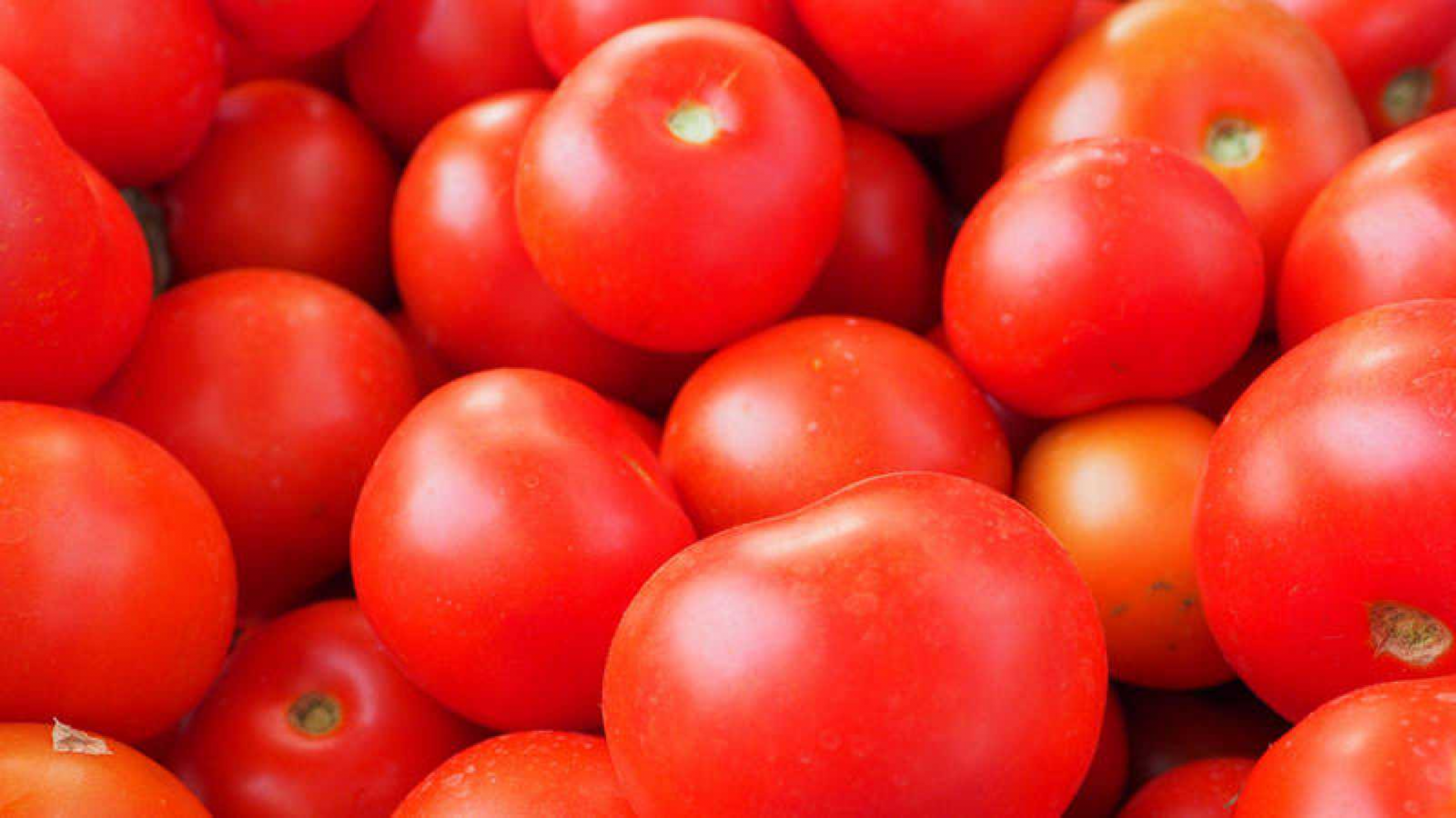 Tostada integral con tomates cherry, albahaca y huevo poché