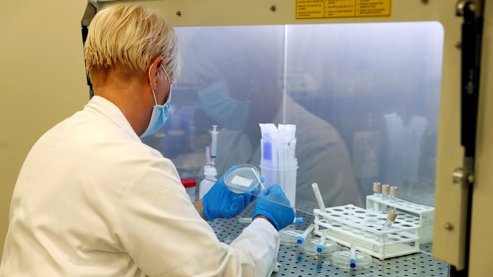  Una sanitaria analiza muestras en el laboratorio