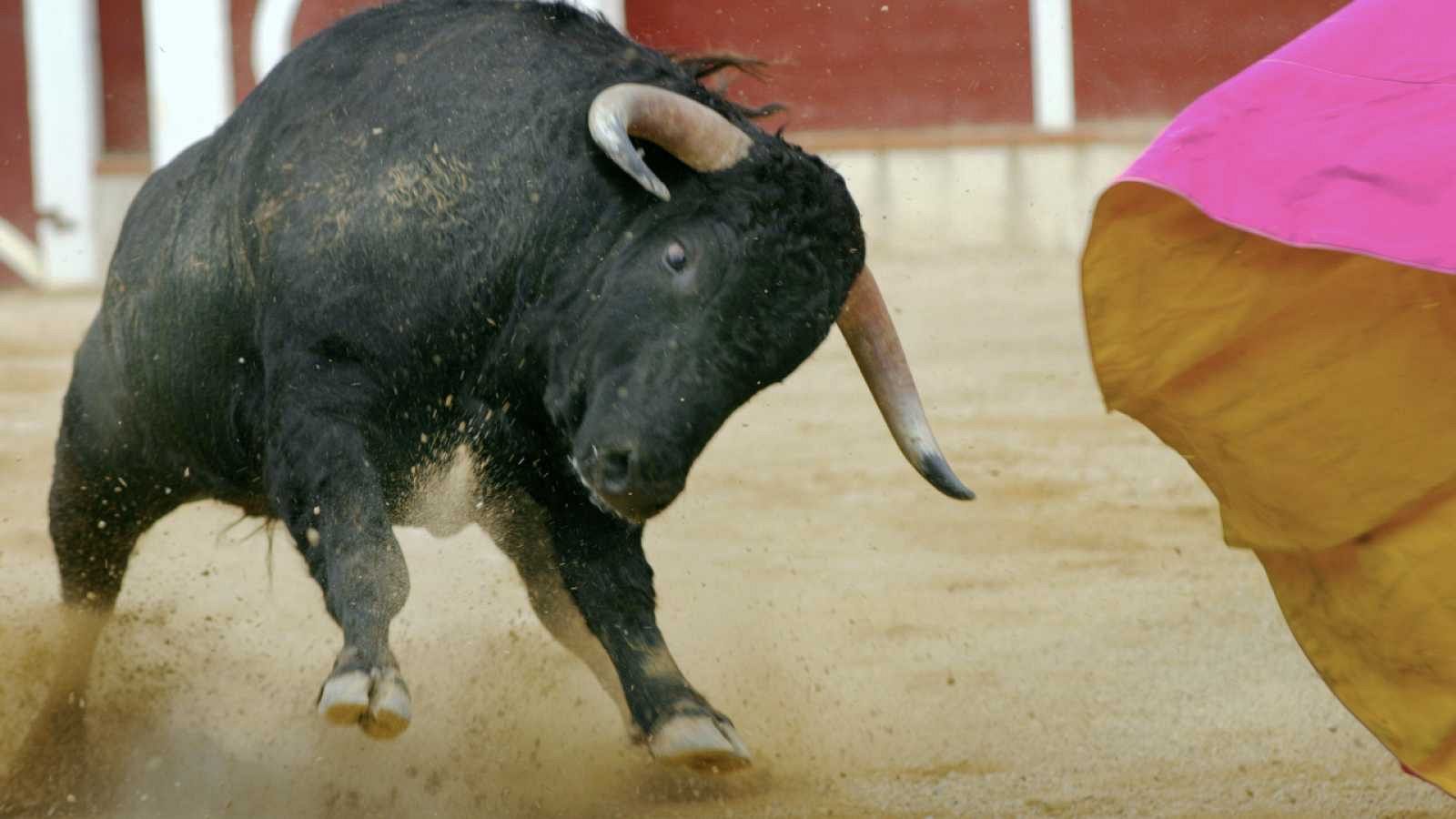 El ministro de Cultura y Deporte, José Manuel Rodriguez Uribes, ha dicho que la tauromaquía ha sufrido "un quebranto económico".