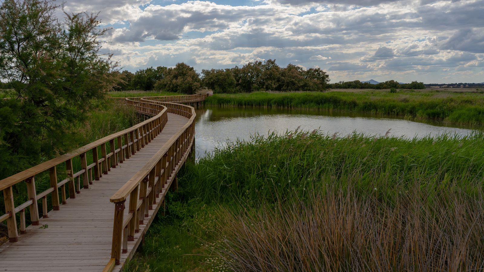 El Parque Nacional de las Tablas de Daimiel reabre con aforo limitado