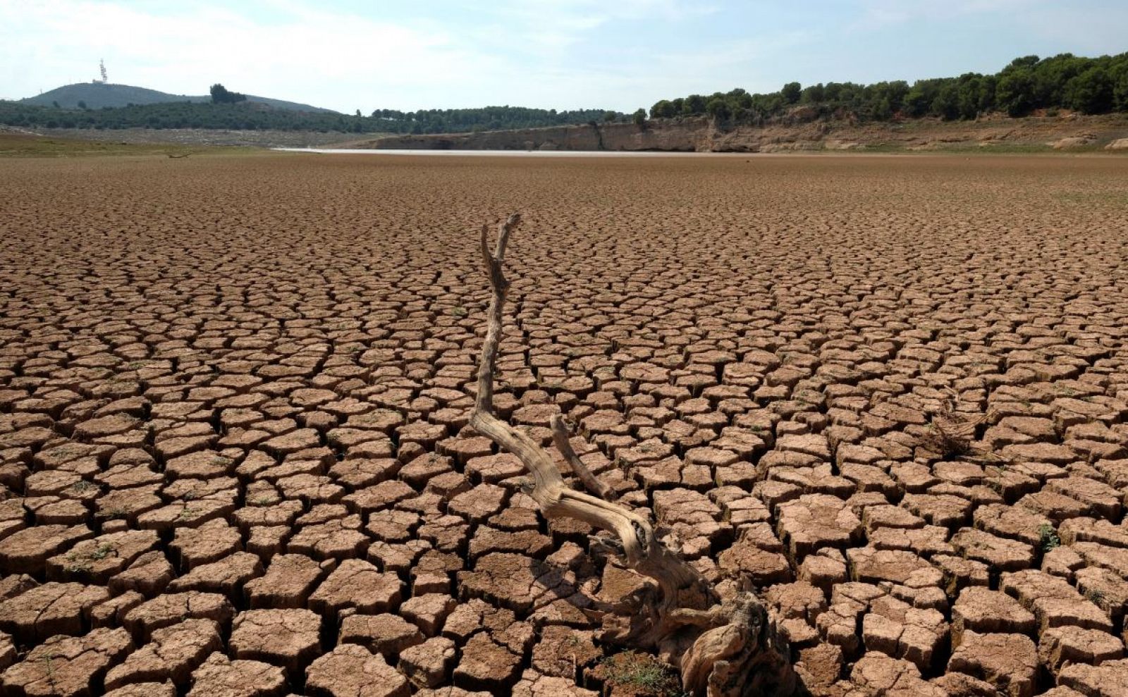 ¿Cómo nos afecta la sequía en España?