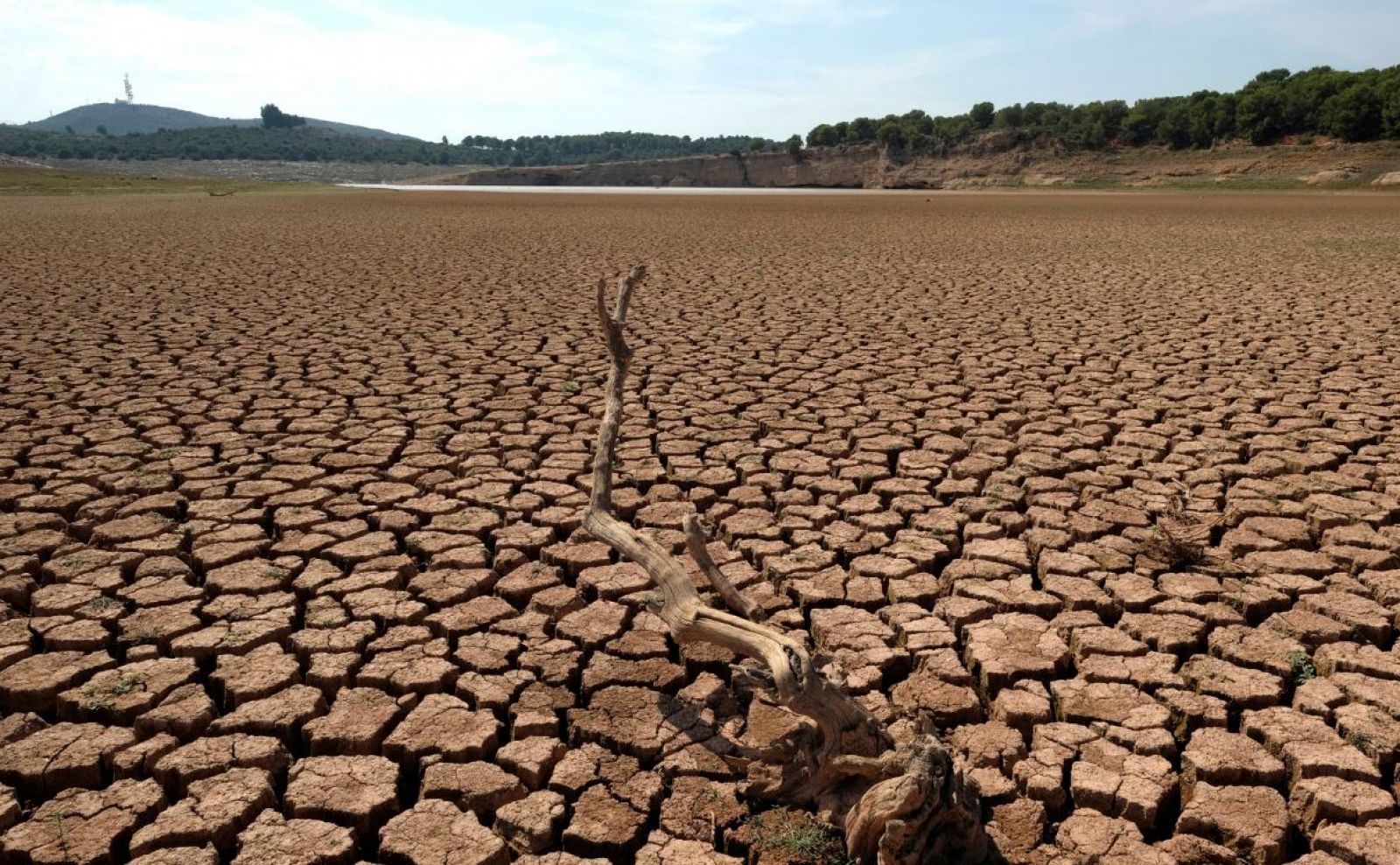 ¿cómo Afecta La Sequía A Nuesta Querida España L Rtveesemk 9431