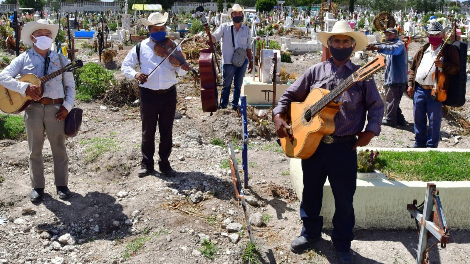 Fotografía fechada el 2 de julio de 2020 que muestra a músicos del grupo Los Tigres de la Guasteca mientras cantan a los fallecidos en el panteón de San Isidro, en el municipio de Ecatepec (México).