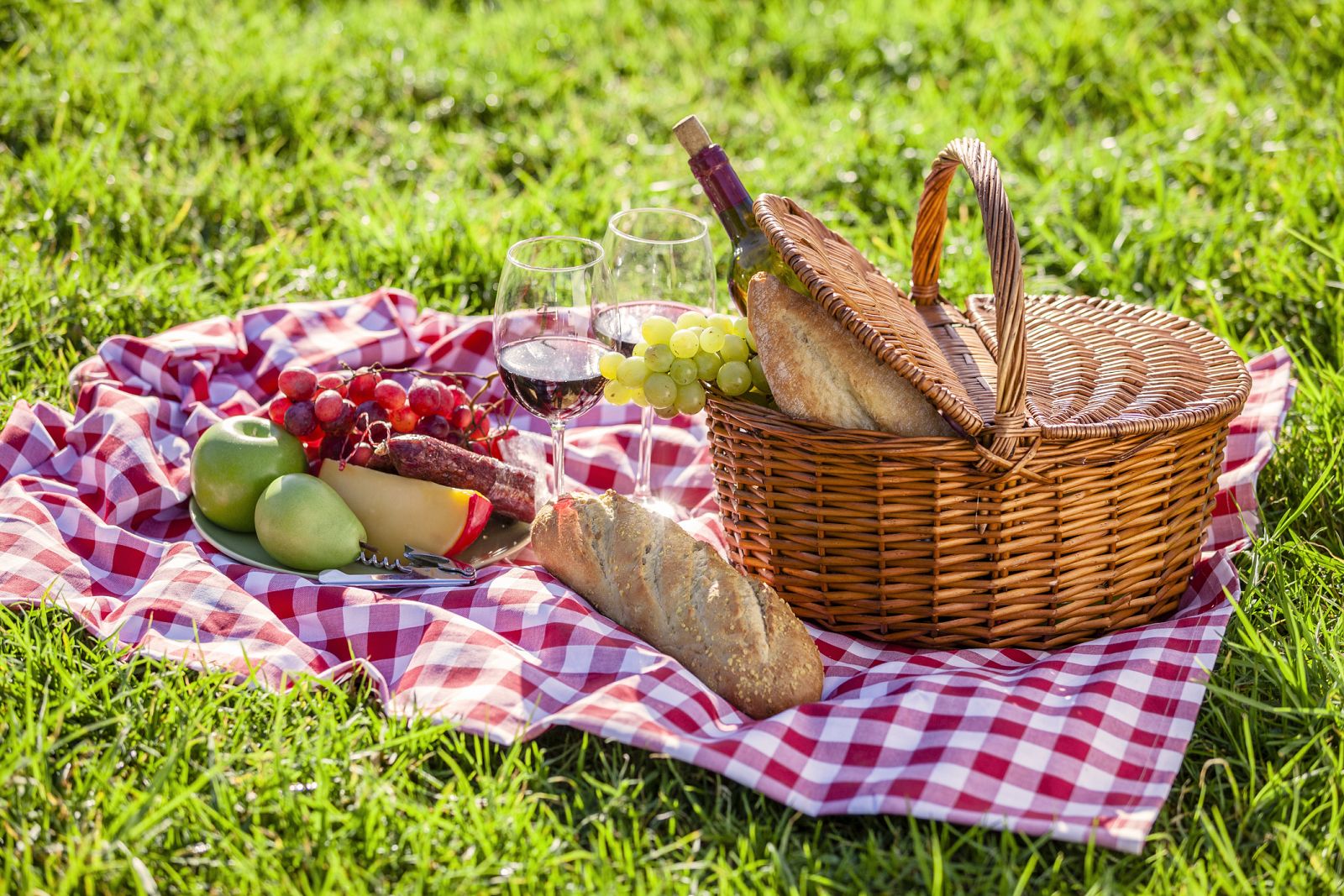 ¡Un picnic perfecto!