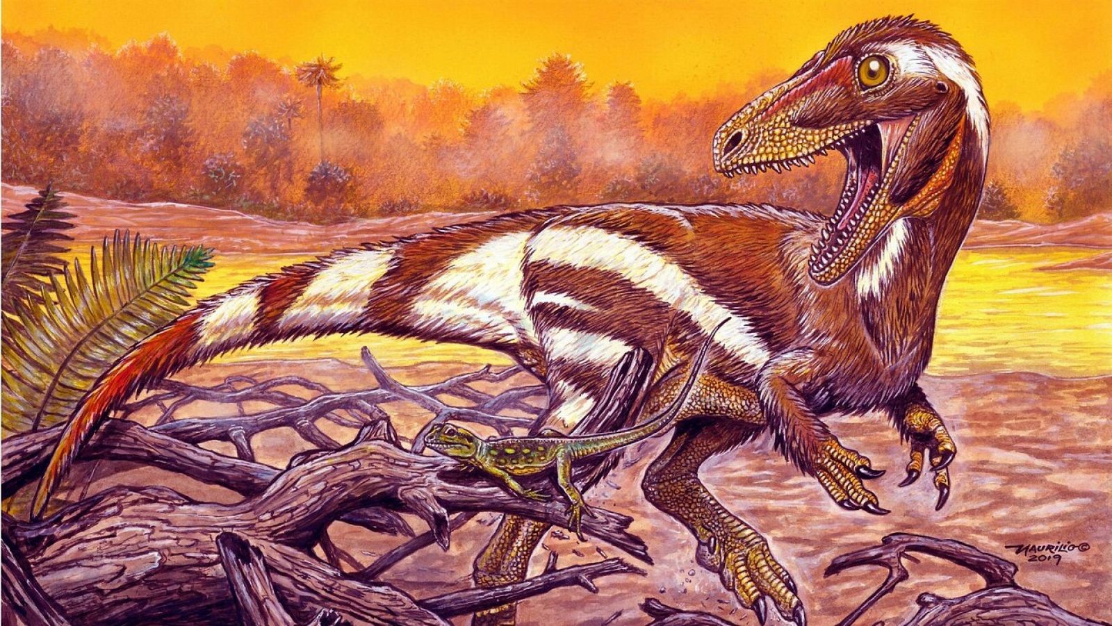 Reproducción fotográfica de un dibujo que muestra la representación del dinosaurio