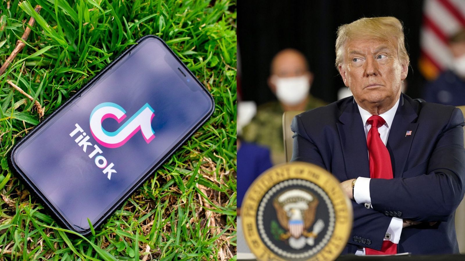  Usuarios de TikTok boicotean la app oficial de Trump - PLAYZ