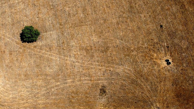 Vista aérea de abrevaderos para el ganado afectados por la sequía en el norte de Francia