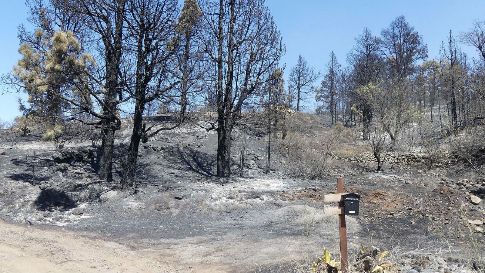 Una de las fincas agrícolas calcinadas por el incendio forestal que afecta a la isla de La Palma, a su paso por el barrio de El Castillo del municipio de Garafía. 