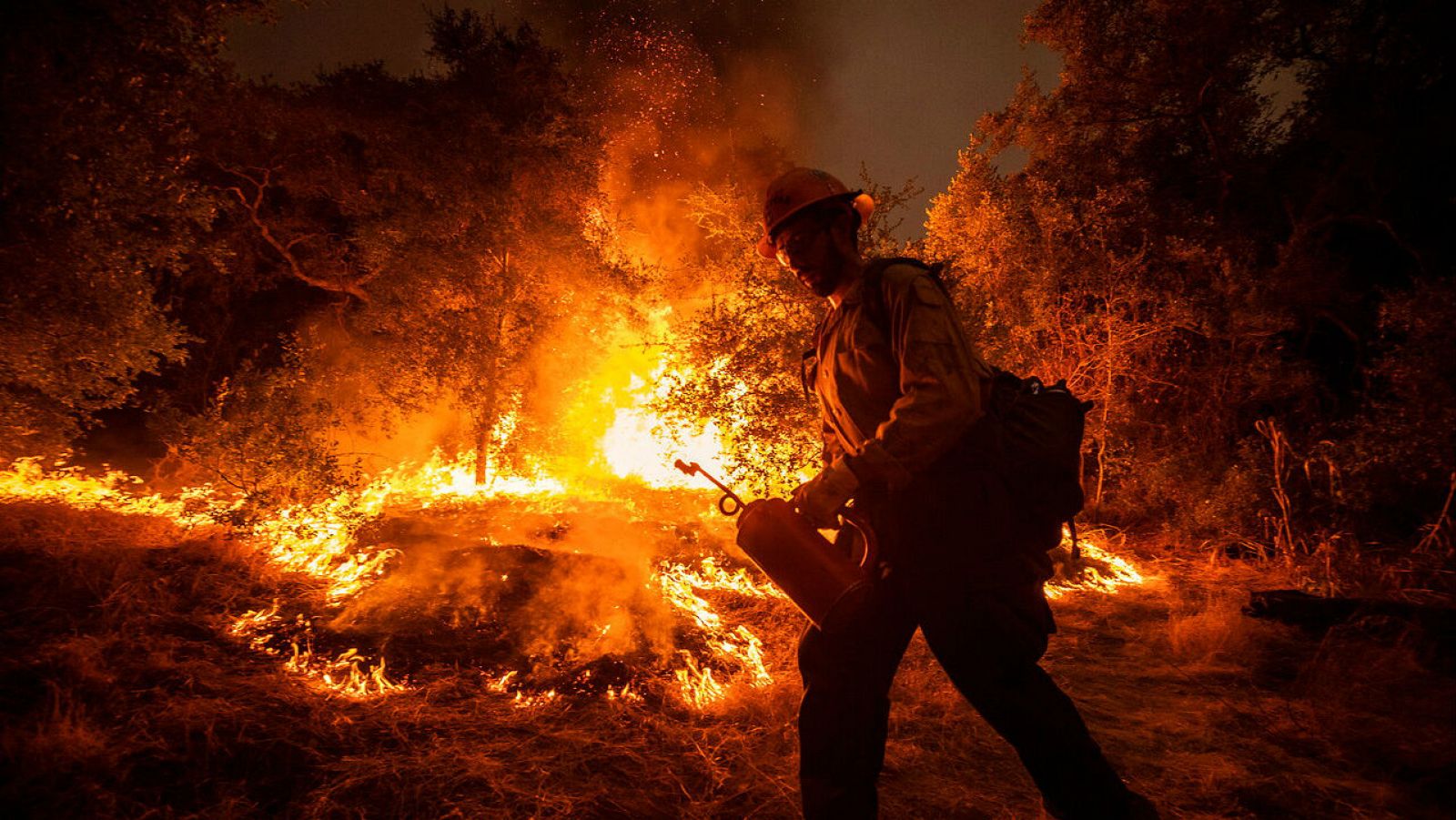 Un bombero intenta controlar el incendio en el Bosque Nacional Ángeles, cerca de Arcadia, California, Estados Unidos.