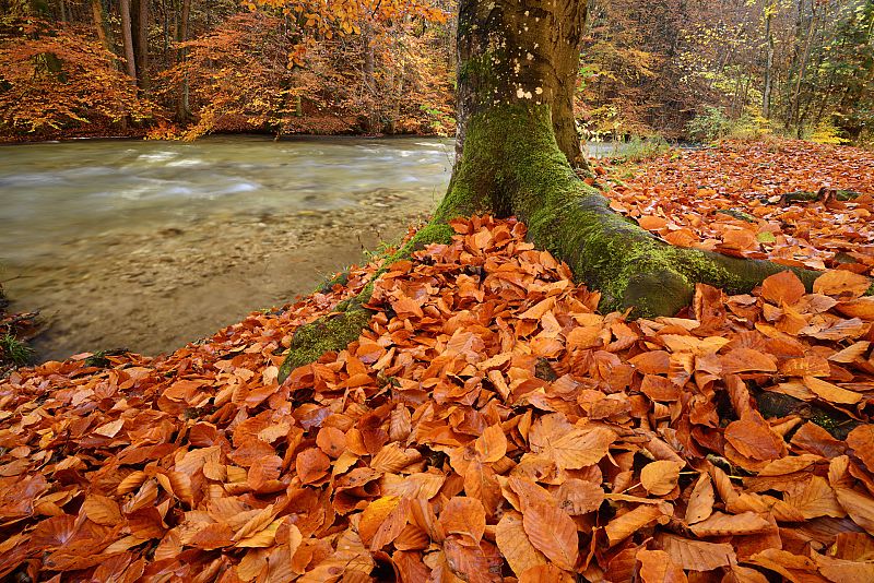La llegada del otoño
