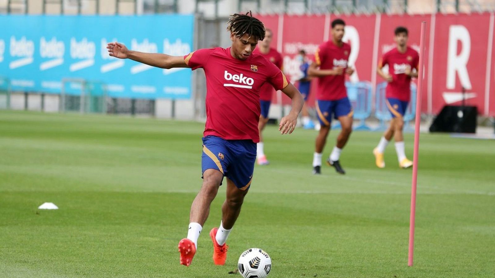 Todibo