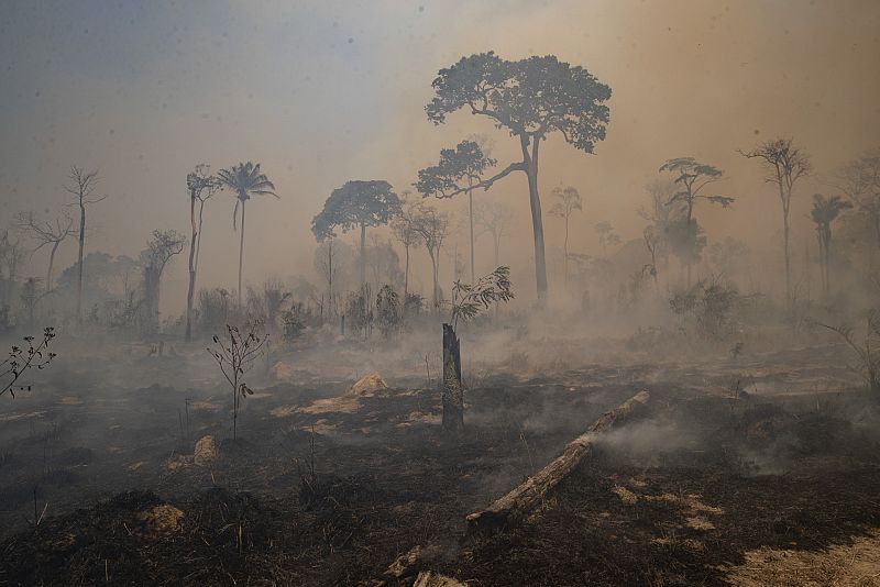 Efectos del cambio climático: mayores incendios