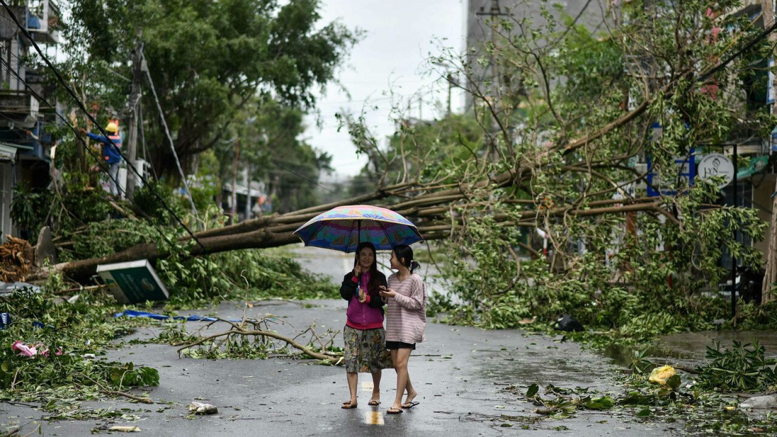 Las mujeres caminan junto a árboles arrancados de raíz en la provincia de Quang Ngai, en el centro de Vietnam, el 28 de octubre de 2020, a raíz del tifón Molave.