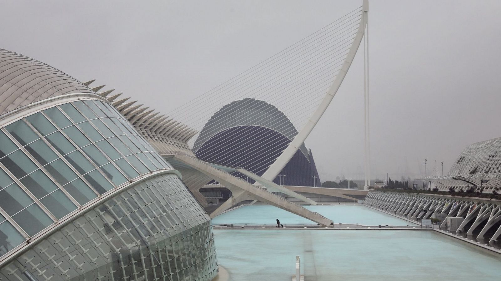 Museo de las Ciencias de Valencia - ver ahora