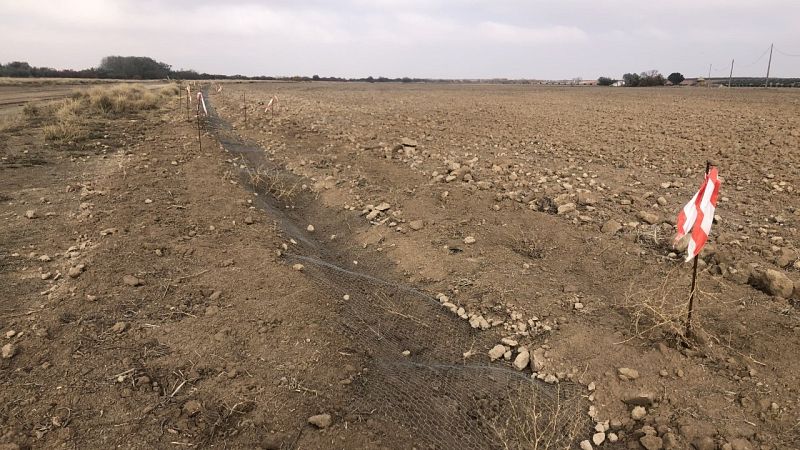 El proyecto PREVECO busca prevenir los daños en cultivos ocasionados por los conejos