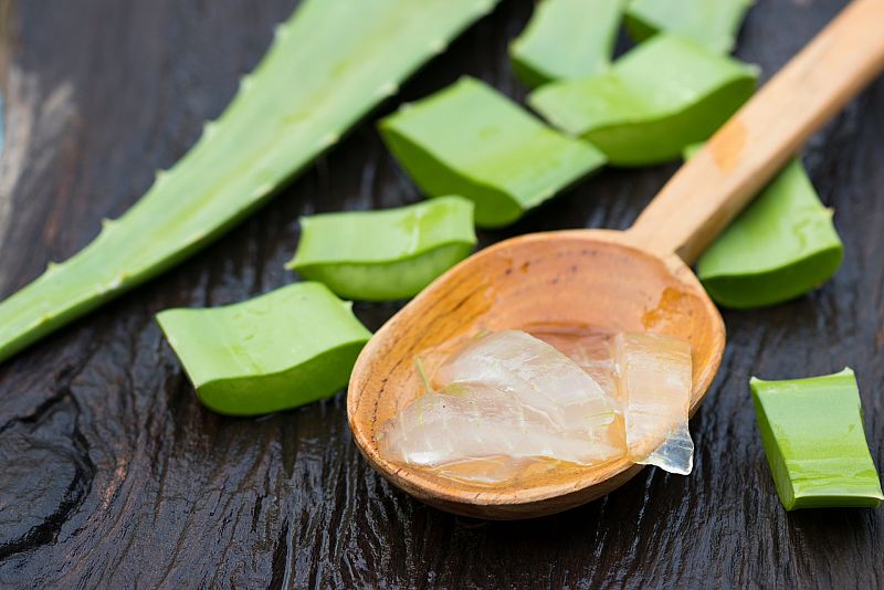 Las recetas más extrañas de Aquí la Tierra: ¿te atreves con el aloe vera?