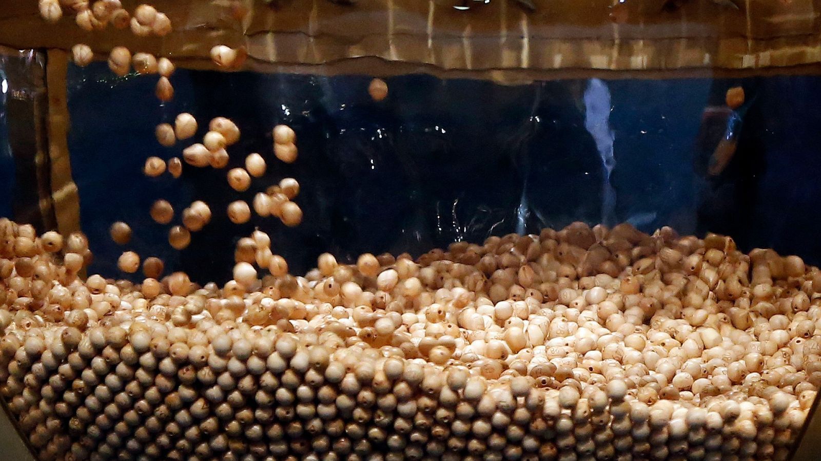 Todo listo para el Sorteo Extraordinario de Lotería de Navidad