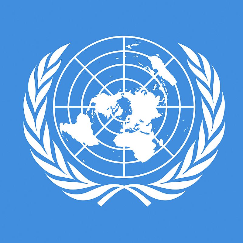 Presta especial atención a los contenidos marcados como prioritarios por la ONU