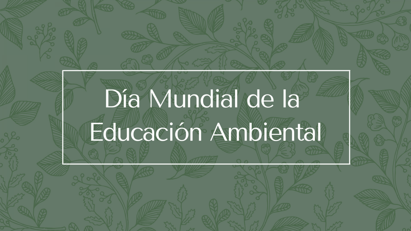 Educación ambiental: fundamental para nuestro planeta