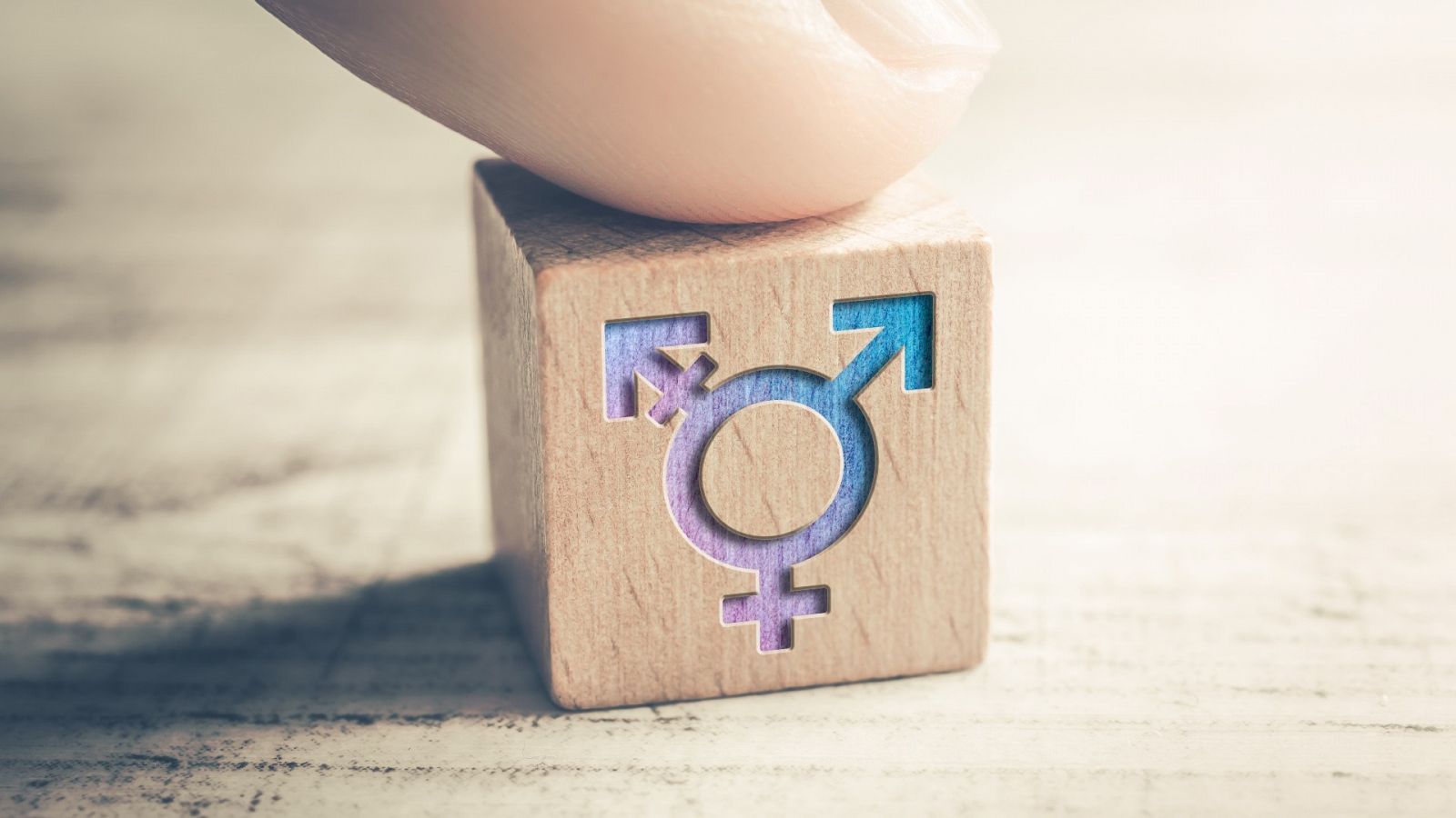 Resultado de imagen de ley trans