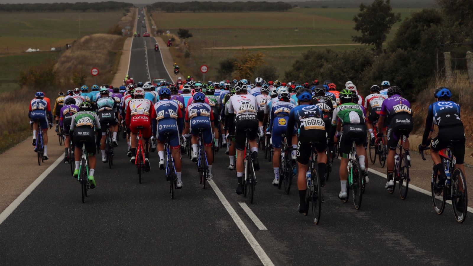 La cola del pelotón por una carretera salmantina en la 16ª etapa de la pasada edición de la Vuelta a España