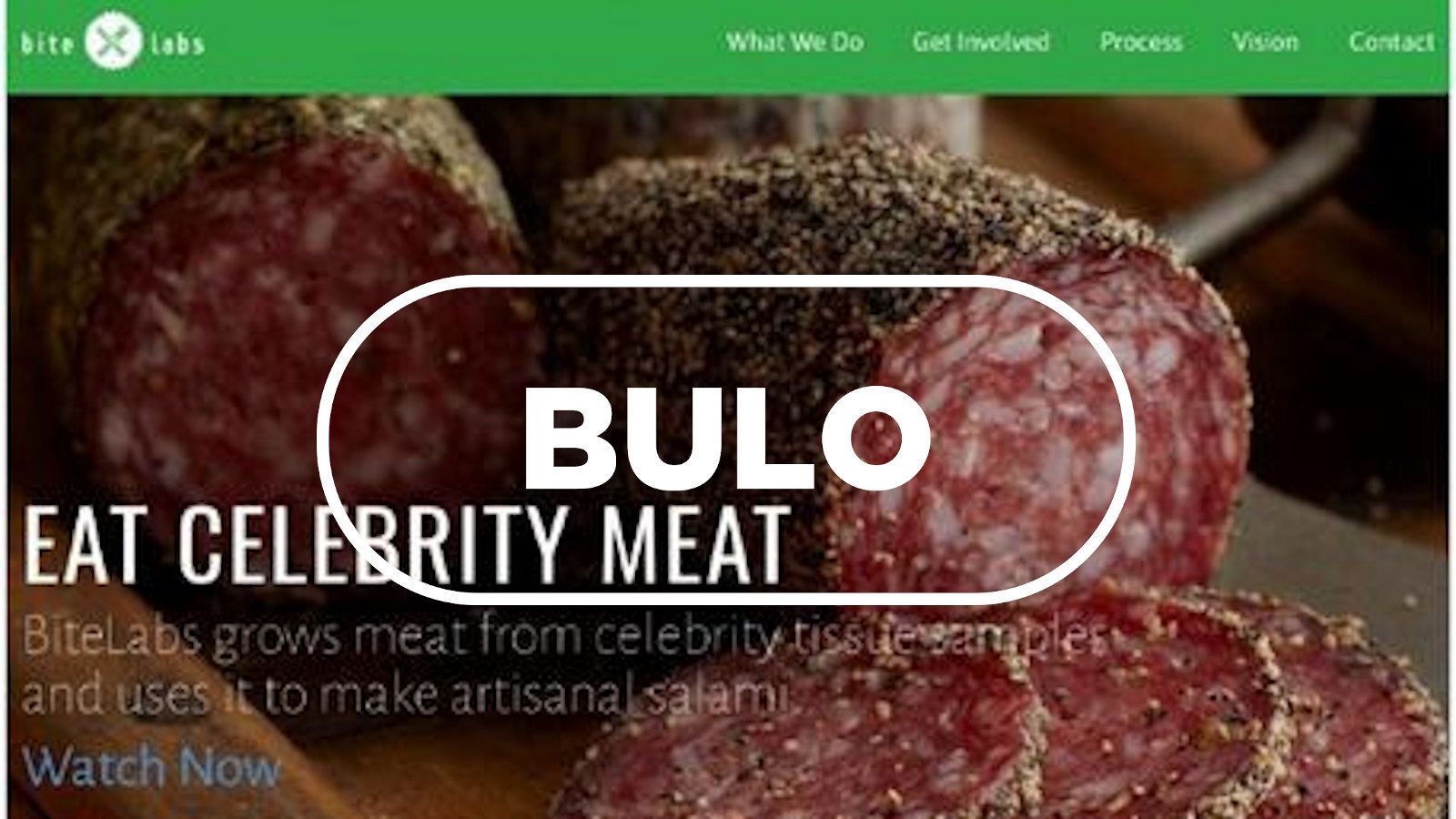 Detalle de la web con la campaña de márquetin transgresor lanzada en 2014 anunciando salami hecho con carne de famoso.