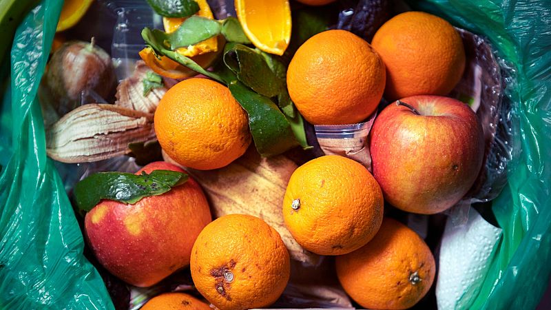 La comida desperdiciada equivale a 23 millones de camiones de 40 toneladas.