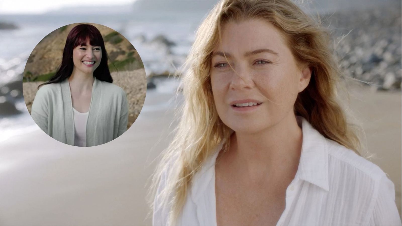 Meredith Grey se reencuentra con su hermana, Lexie