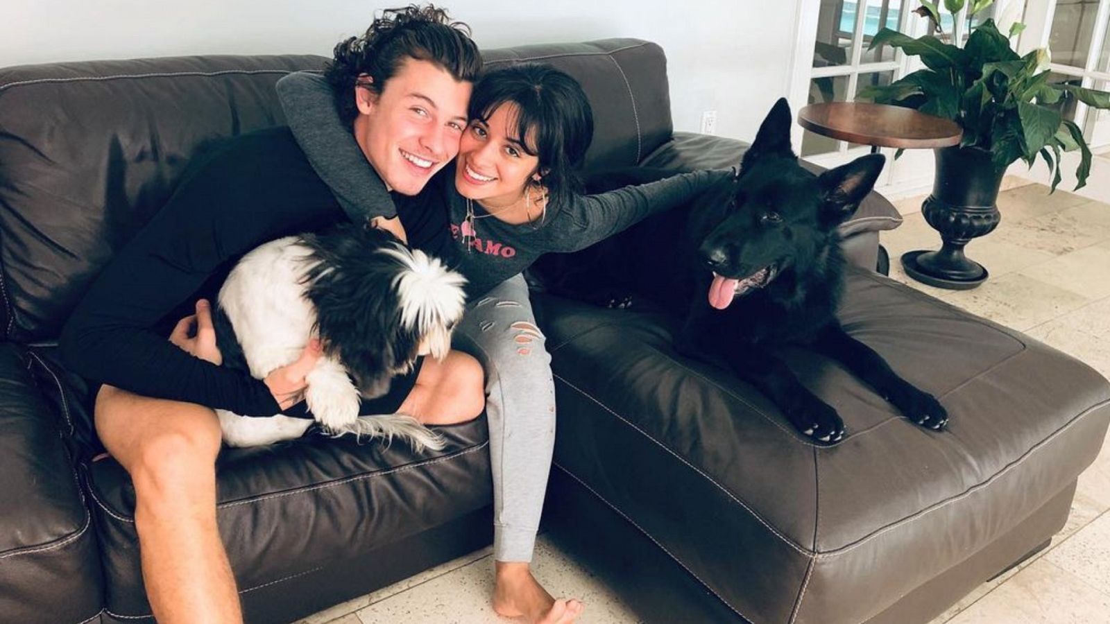 El robo que sufrieron Shawn Mendes y Camila Cabello estando ellos dentro de casa