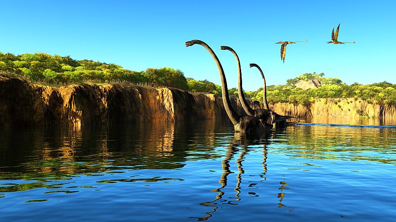 El fósil fue encontrado en 2009 en el yacimiento Dolor, ubicado en los afloramientos de rocas sedimentarias continentales de la Formación Tremp