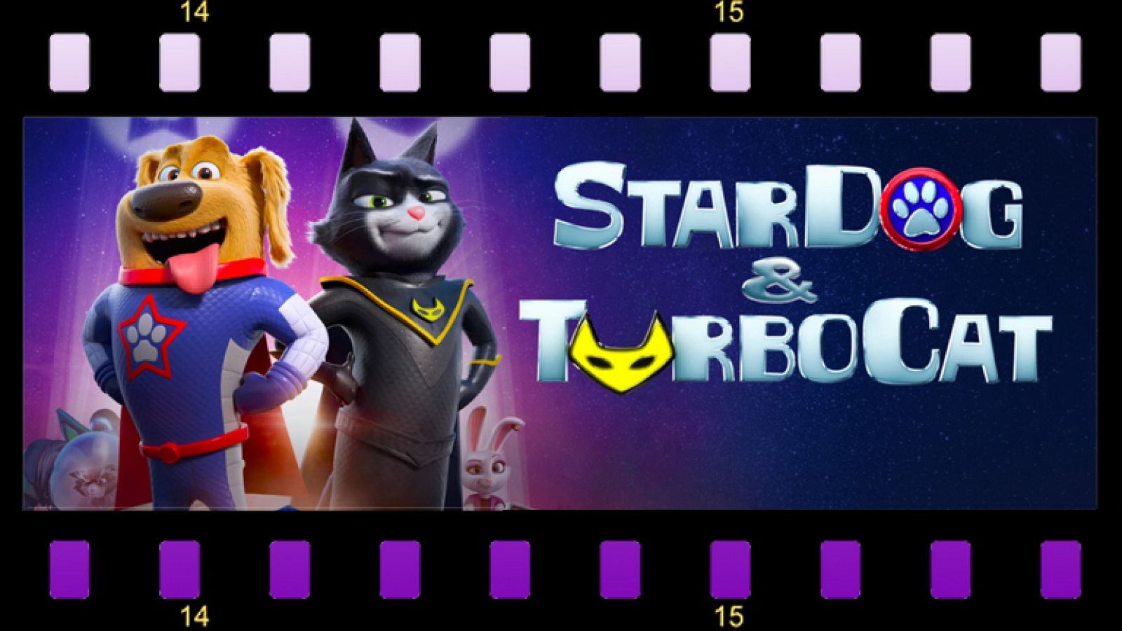 ¡Un perro, un gato y un increíble viaje espacial de vuelta a casa!