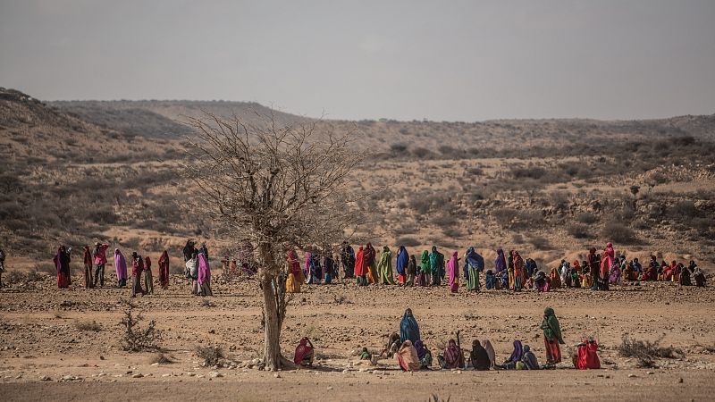 En Somalilandia y Somalia aproximadamente 4,9 millones de personas padecen inseguridad alimentaria y 2,6 millones de desplazados internos