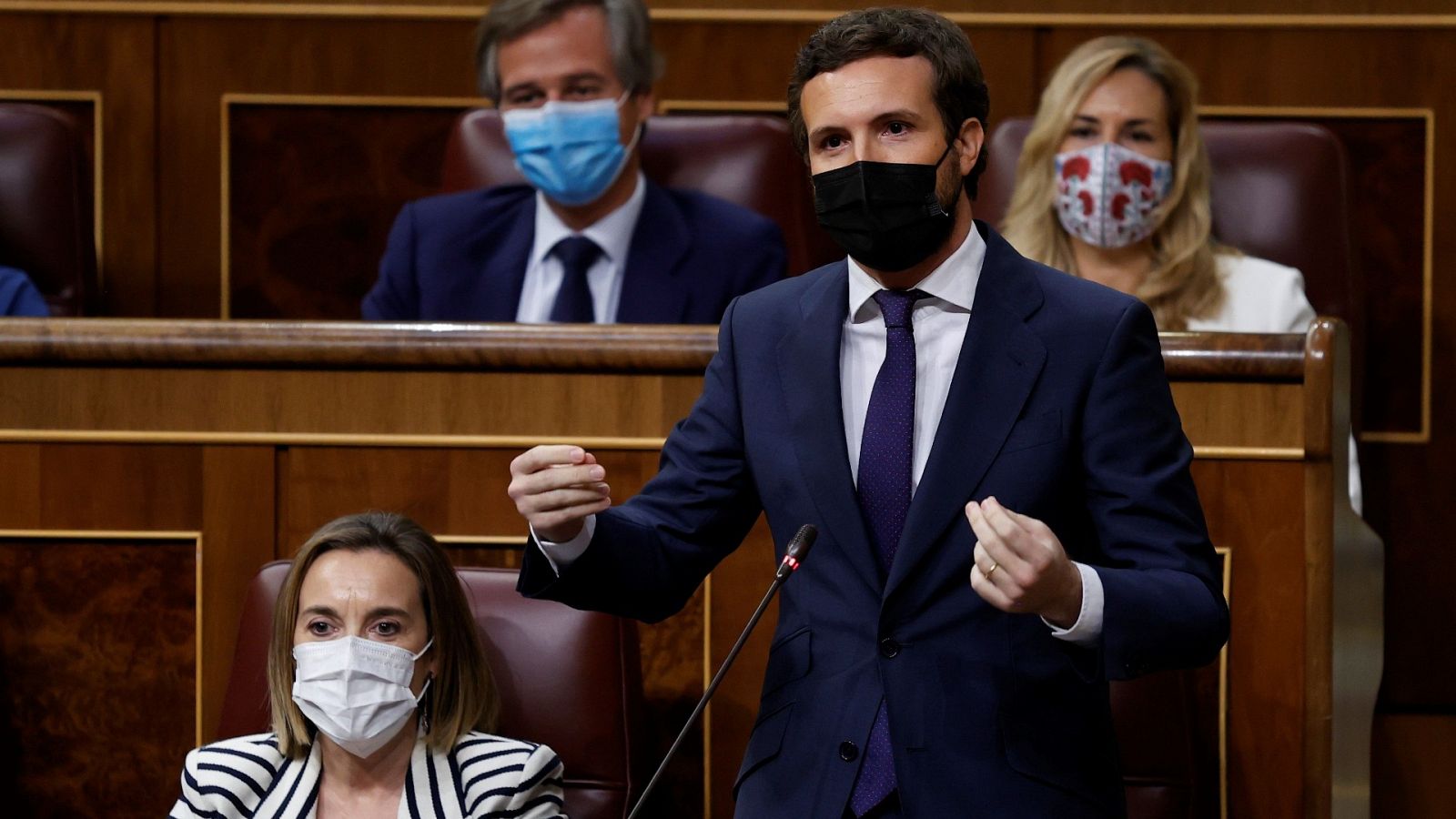 El líder del PP, Pablo Casado, en el Congreso durante una sesión de control al Gobierno