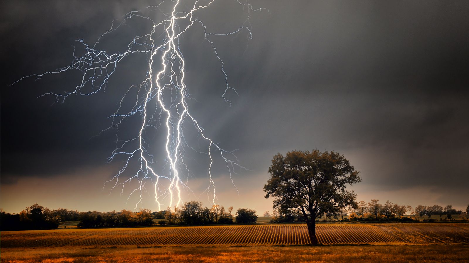 Meteorología: Rayo, trueno, relámpago ¿sabes qué diferencias hay?