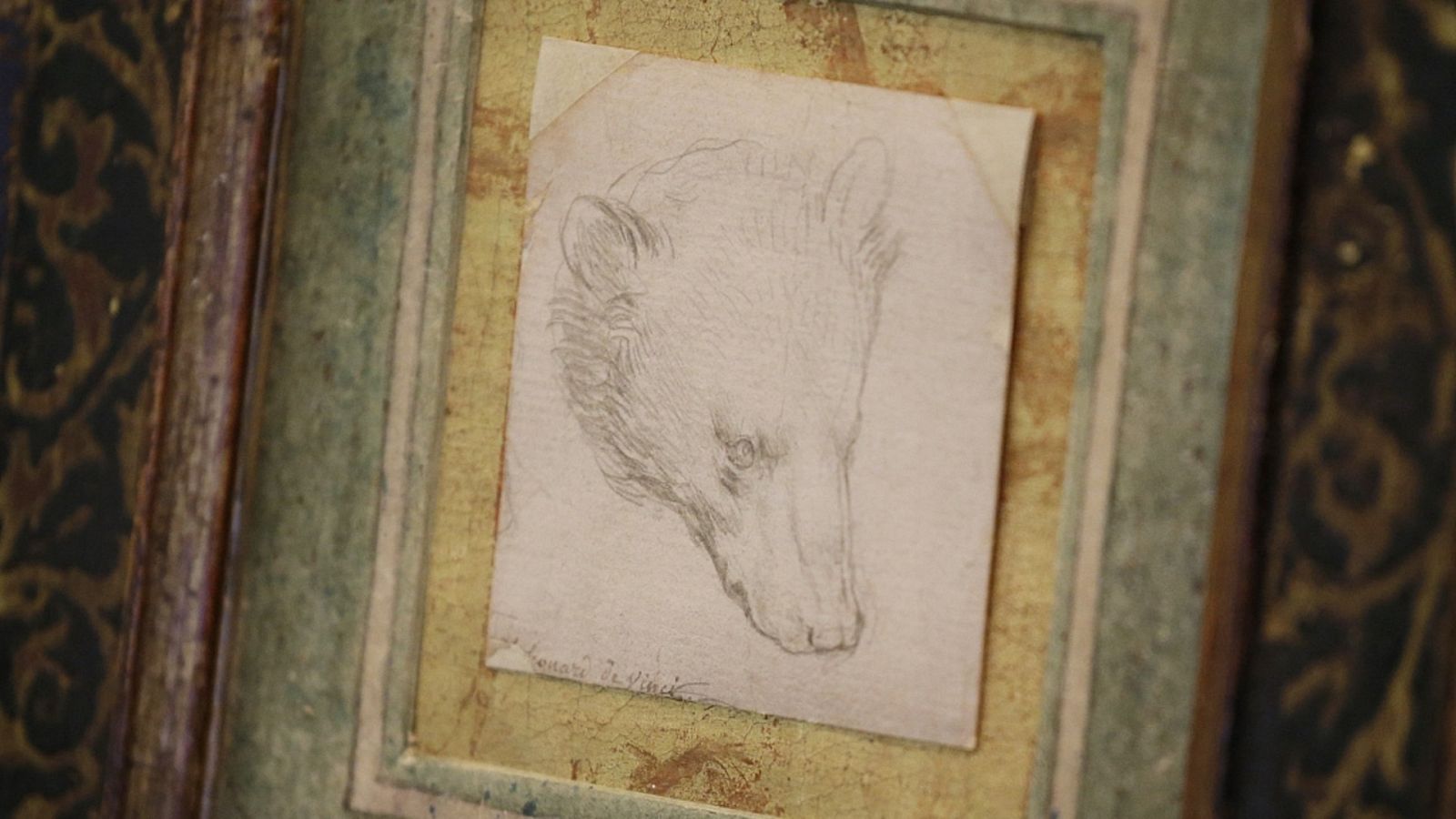 'Head of a bear', el dibujo récord de Da Vinci