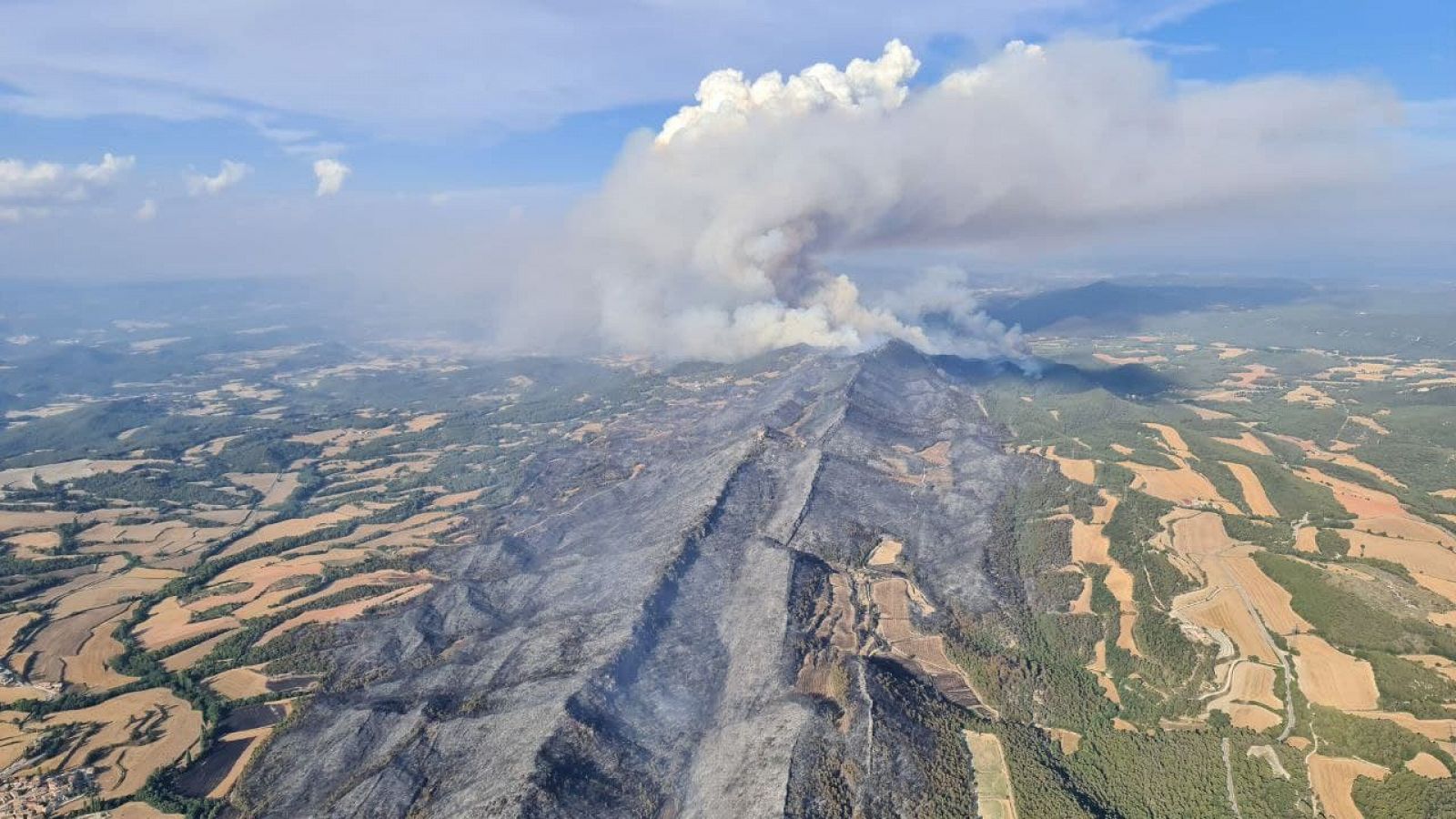 El foc ha avançat sense control aquest diumenge empès per la marinada