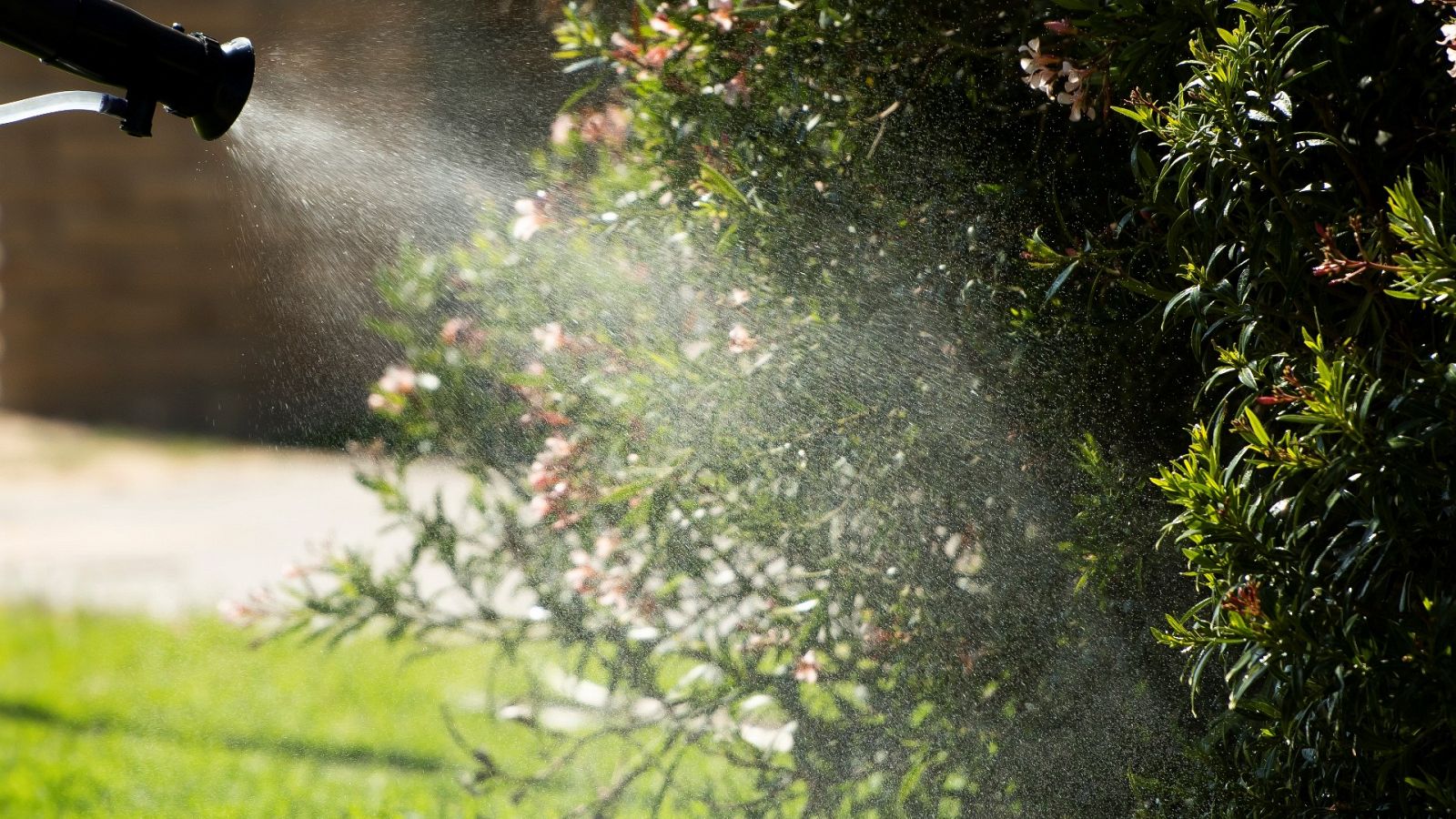 Un operario fumiga en la localidad sevillana de Coria del Río para prevenir un brote de virus del Nilo