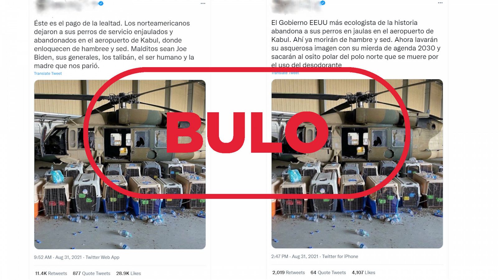 Mensajes de Twitter que dicen que EE.UU. ha abandonado en Kabul a los perros de las tropas estadounidenses con el sello bulo en rojo de VerificaRTVE