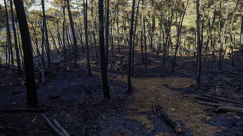 Una excavadora quemada en un incendio en Estepona