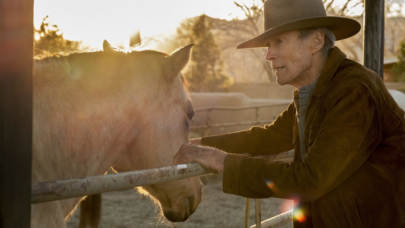Cine | 'Cry Macho', Clint Eastwood vuelve a papel de cowboy en un cuentecillo cargado de buenas intenciones - RTVE.es