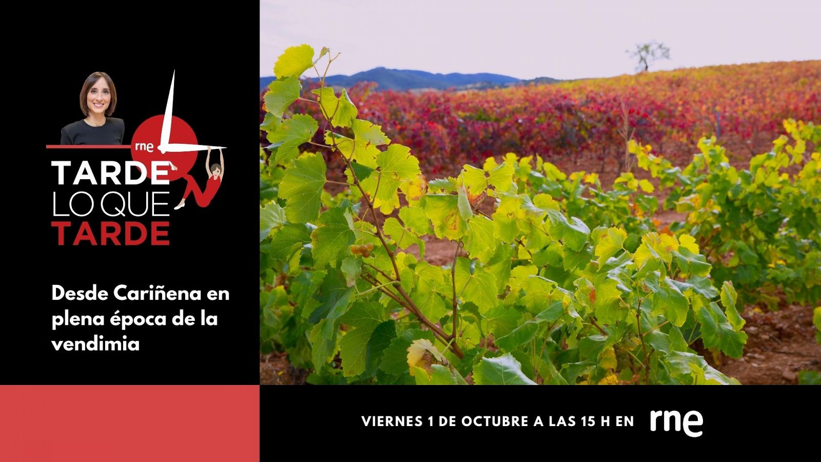 No te pierdas el especial desde las Bodegas Tierra de Cubas de la D.O. de Cariñena.