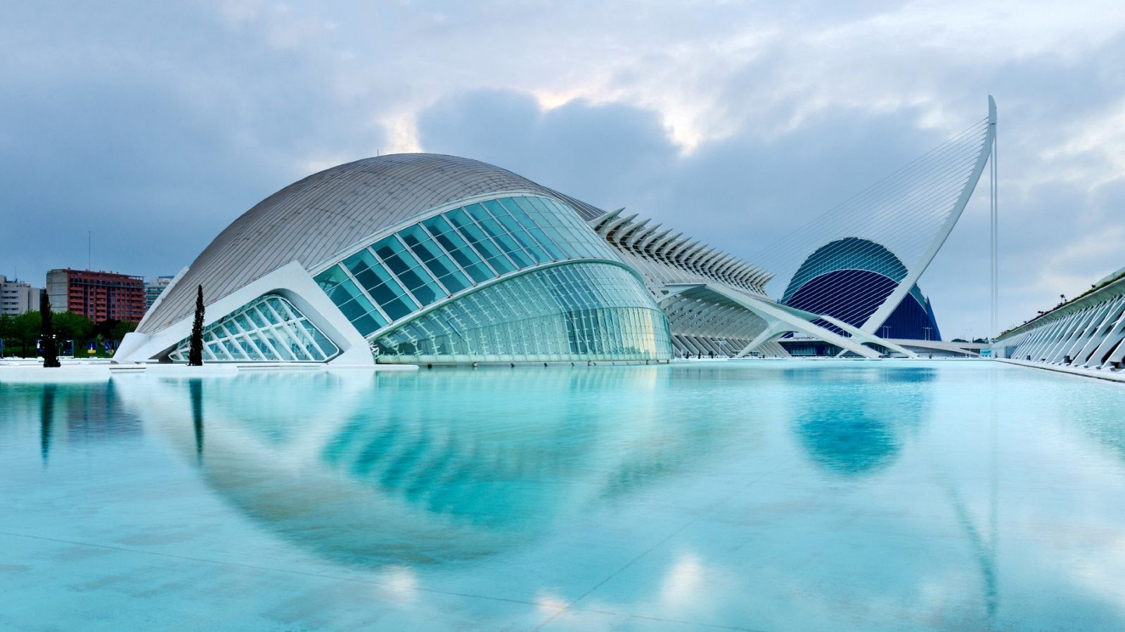  Oceanografic de Valencia 