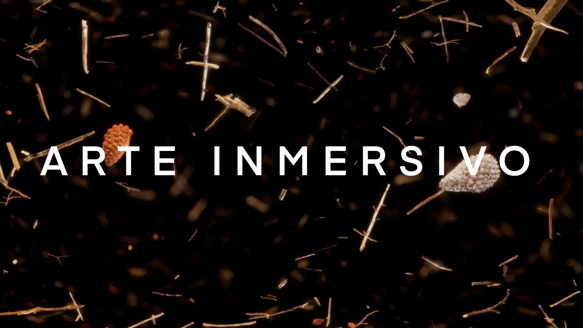 Reconstruction 360 de Guardabrazo