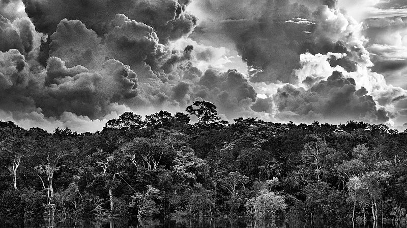 Archipiélago fluvial de Mariuá, Tio Negro, Estado del Amazonas, Brasil