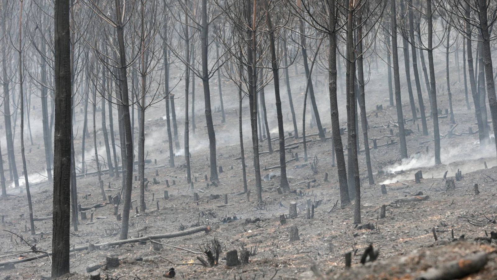 El calentamiento global agravará las sequías, los temporales y los incendios forestales en España