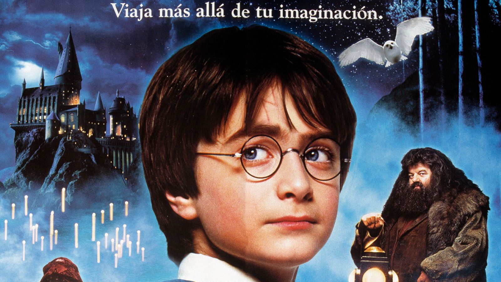20 años de Harry Potter en español