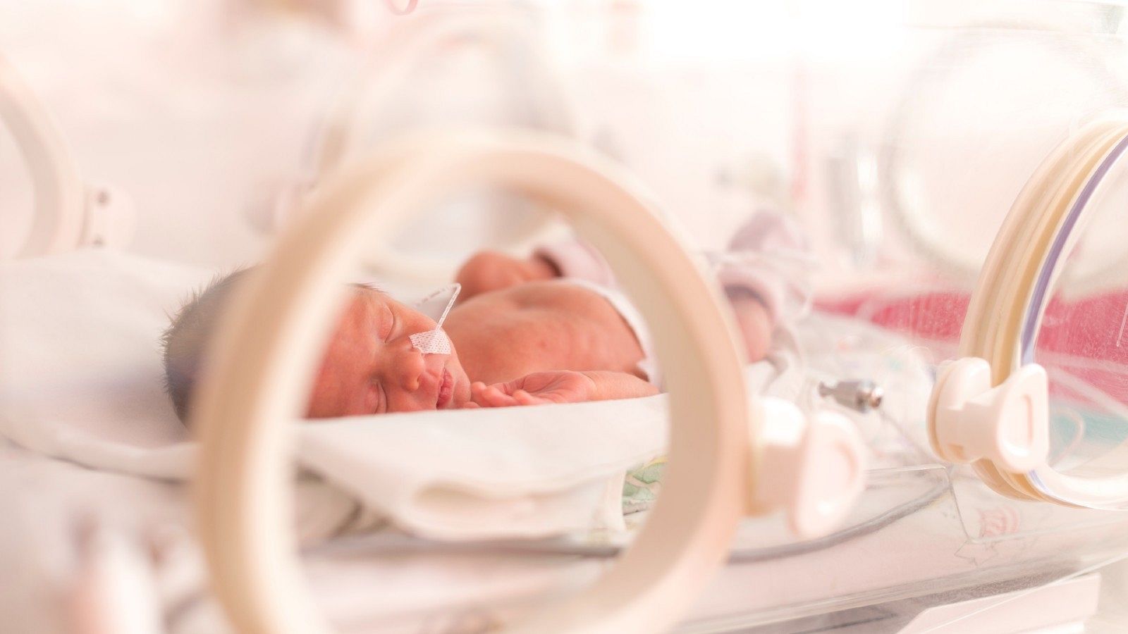 Un bebUn bebé prematuro permanece en la incubadora, en una imagen de archivo.