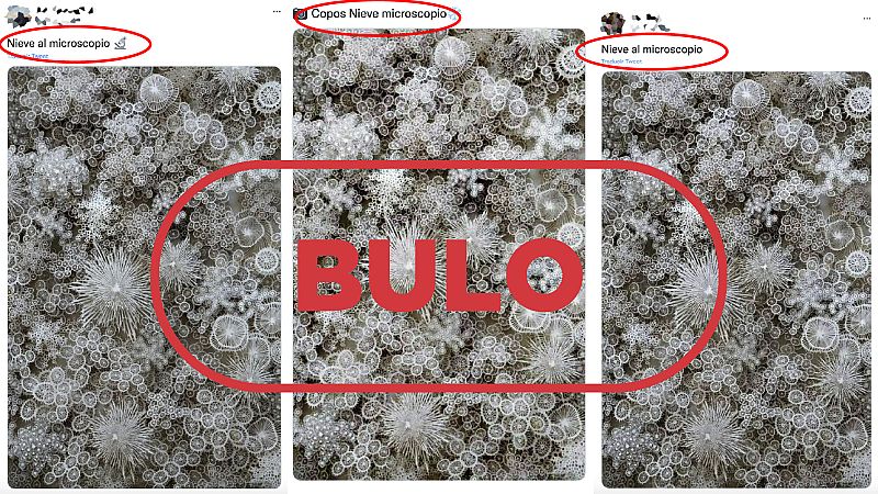 Publicaciones en Twitter afirmando erróneamente que lo que se ve en la imagen son copos de nieve. Es un bulo