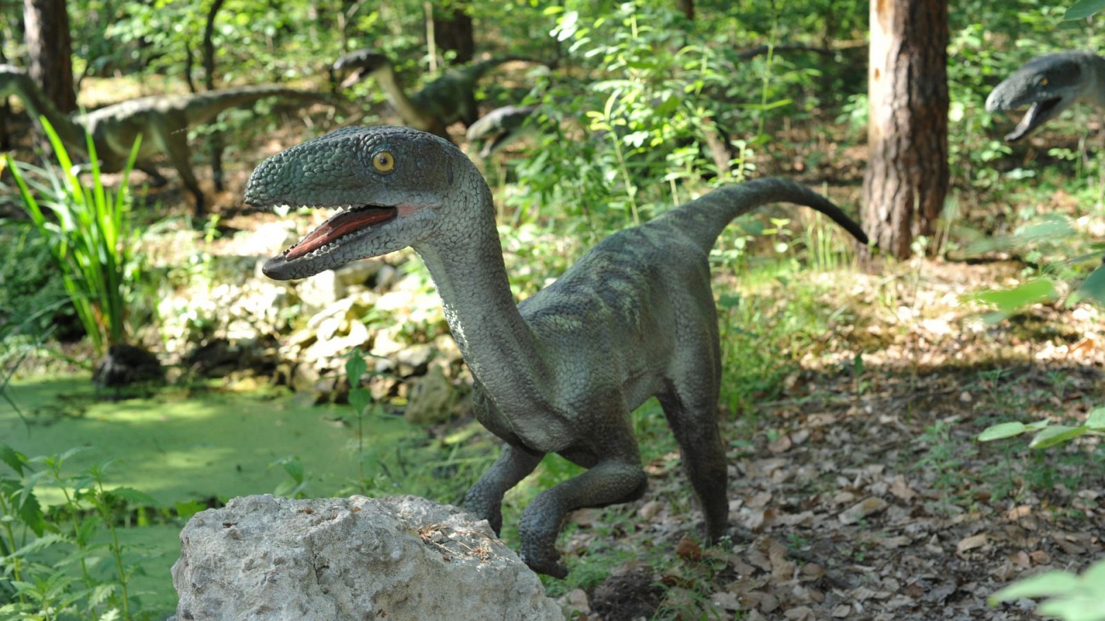 Maqueta a tamaño real de un velocirraptor